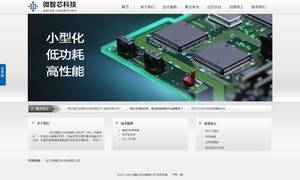  武汉微智芯科技有限公司 集成电路设计企业